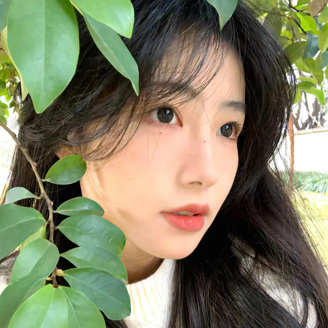 温柔之歌海报